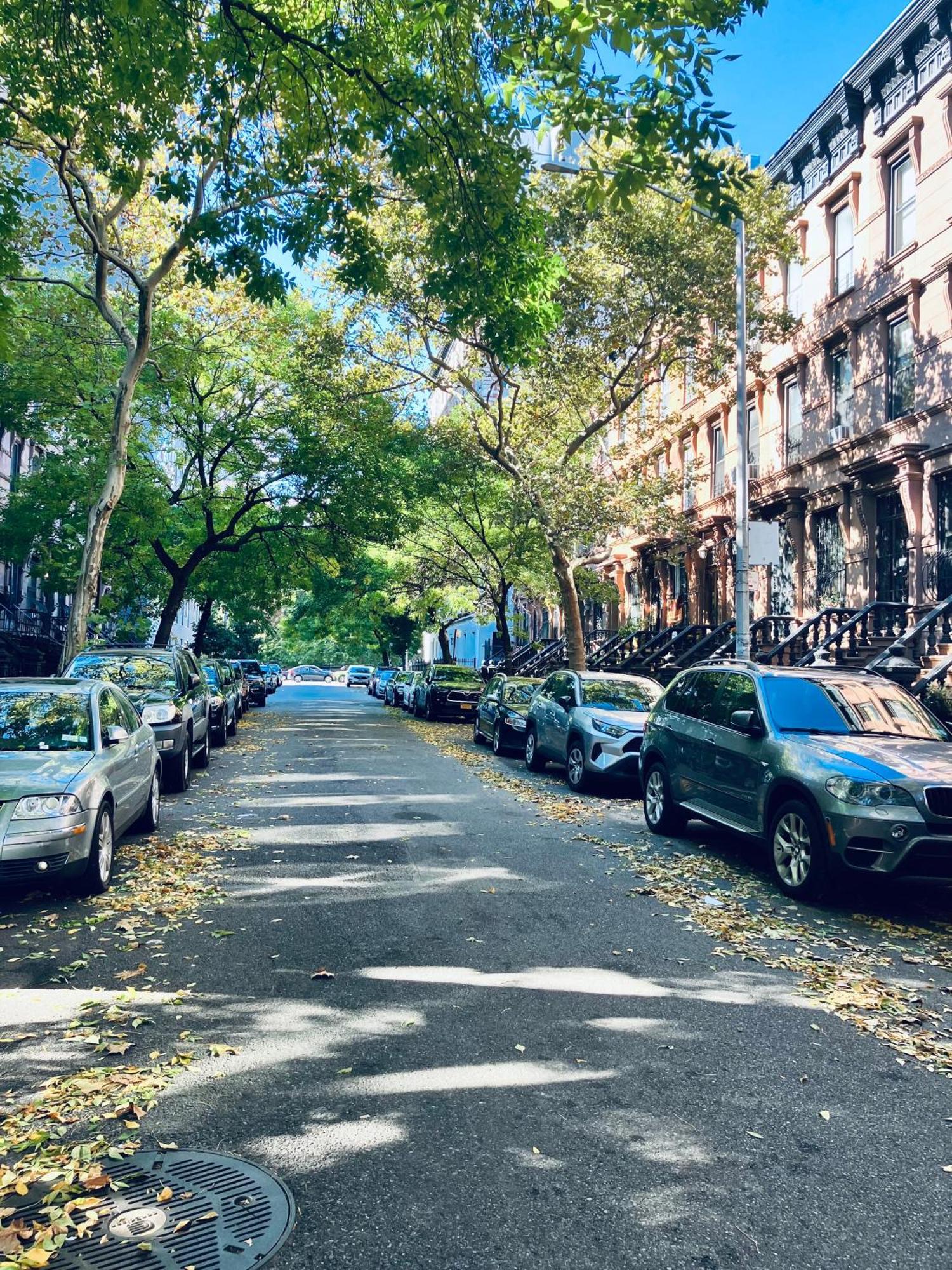 ニューヨーク ハーレム グランド Bed & Breakfast エクステリア 写真